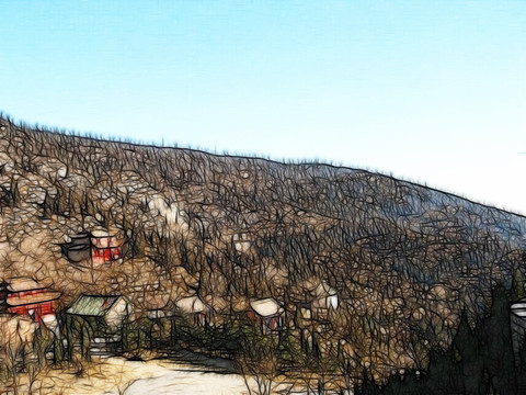 丛林风景
