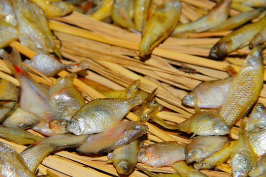 熏制小鱼干 小鱼仔