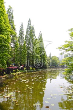 衡阳西湖公园