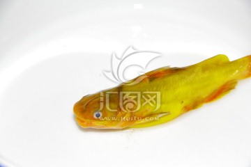 黄鳍鱼