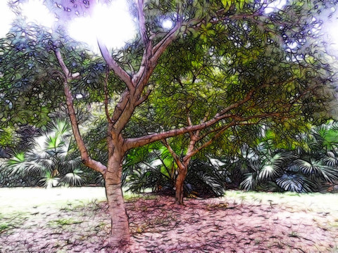 园林风景画