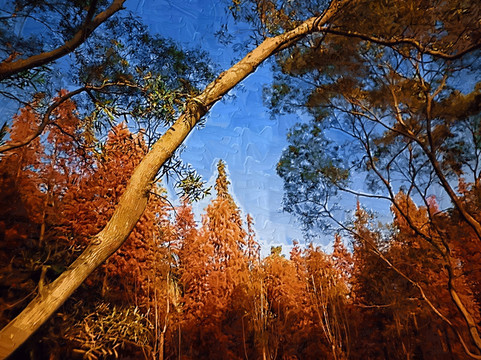 丛林装饰画