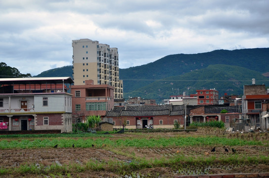 乡村景色