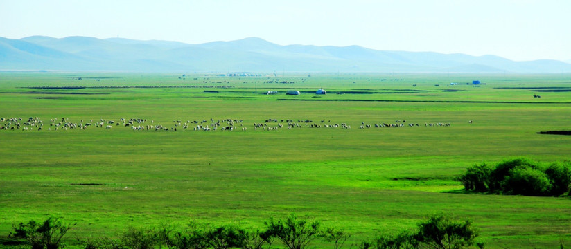 呼伦贝尔草原 清晨 蒙古包