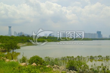 深圳福田红树林保护区