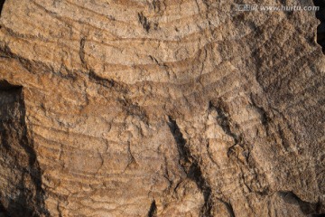 蓟县叠层石 古生物化石
