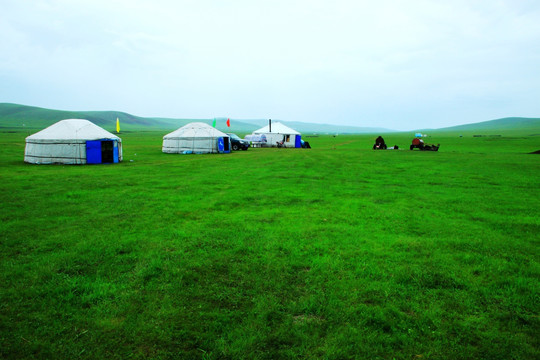 草原 牧场 蒙古包