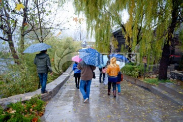 雨中游园