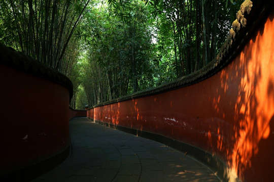 竹林红墙夹道