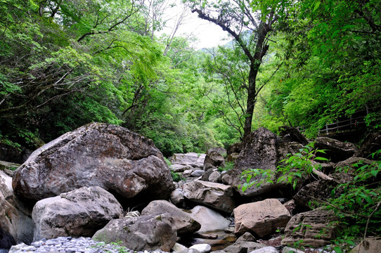 千层河