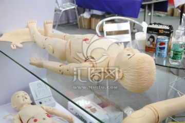 儿童人体模型