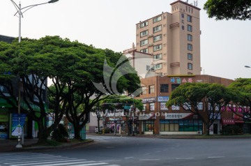 济州岛街景