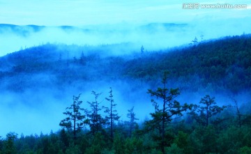 大兴安岭森林晨雾