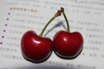 樱桃