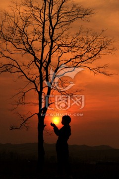夕阳剪影