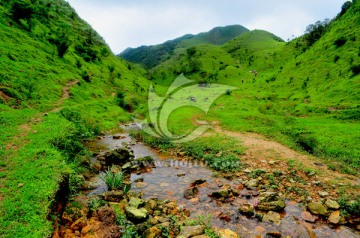 鸡笼顶 高山草甸 山丘