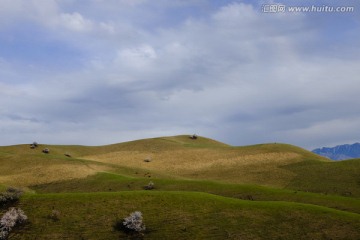 绿山坡