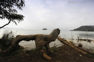 泸沽湖艺术