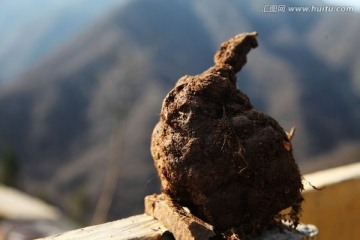 峡谷药材