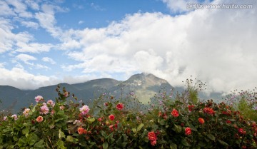 丽江玉龙雪山