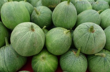 绿香瓜