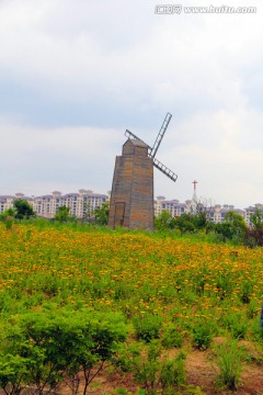 风车 花海