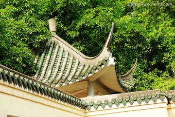 庭院