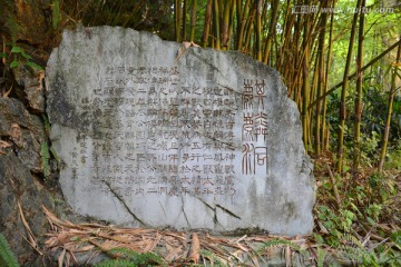 竹林里的石雕文字