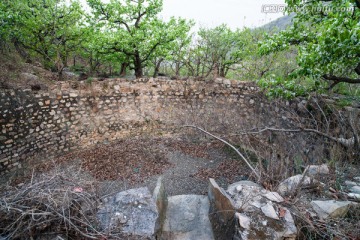 梨园里的大水窖 储水 浇灌