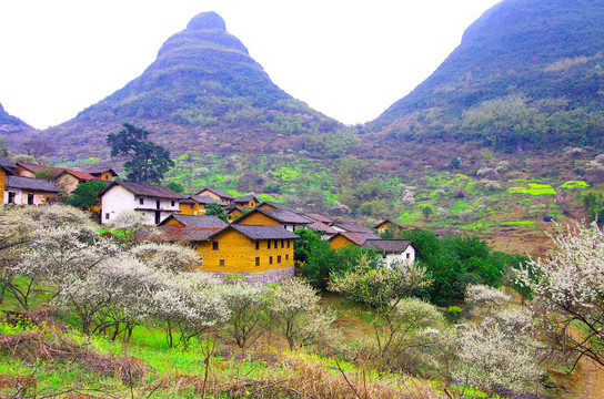 小山村