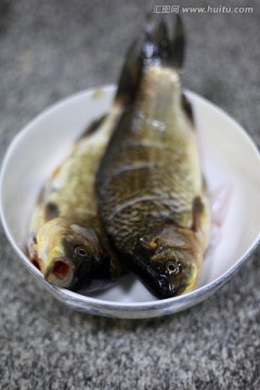 鲫鱼