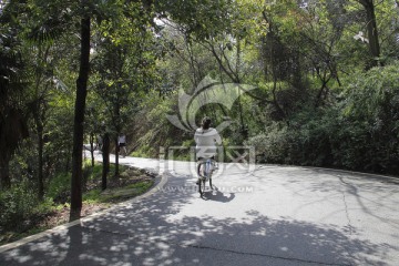 道路