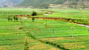 田野风光