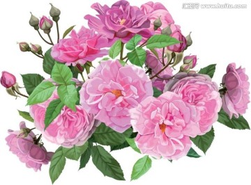 玫瑰花 床上用品花纹 大气