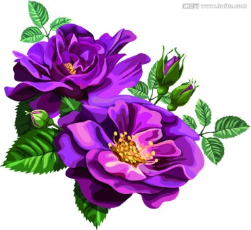 玫瑰花 床上用品花纹 大气