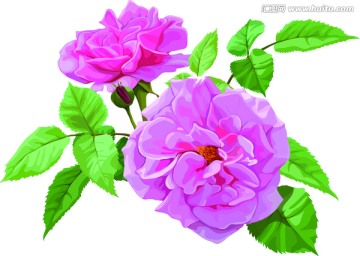 玫瑰花 床上用品花纹 大气