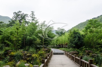 宜兴竹海风景区