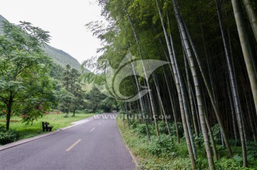 宜兴竹海风景区