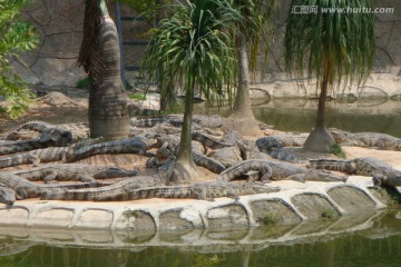 深圳西丽野生动物园