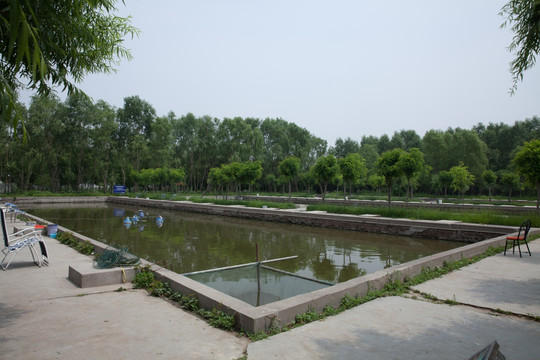 鱼池