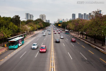 马路 汽车