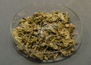 艾叶 中药材 香料