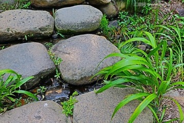 石磴