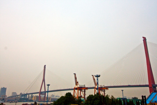上海 浦东 杨浦大桥 城市建筑