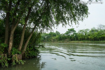 西溪湿地公园