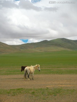 西藏阿里地区草原风光