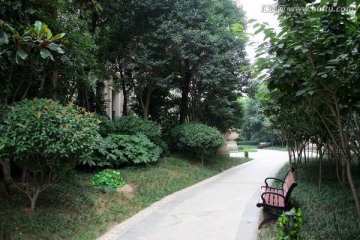 小区道路