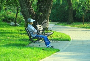 公园  老人休息