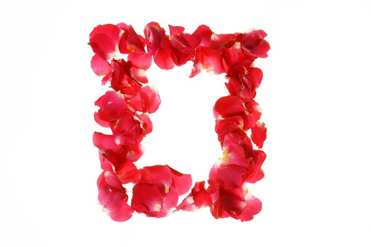 红色花瓣组成的字母O