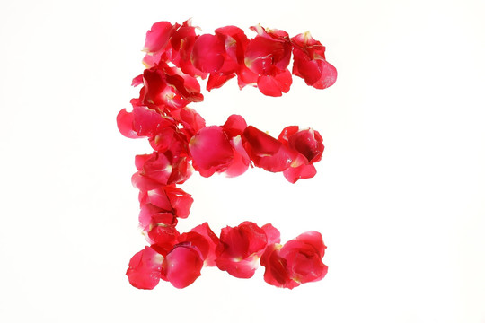 红色花瓣组成的字母E